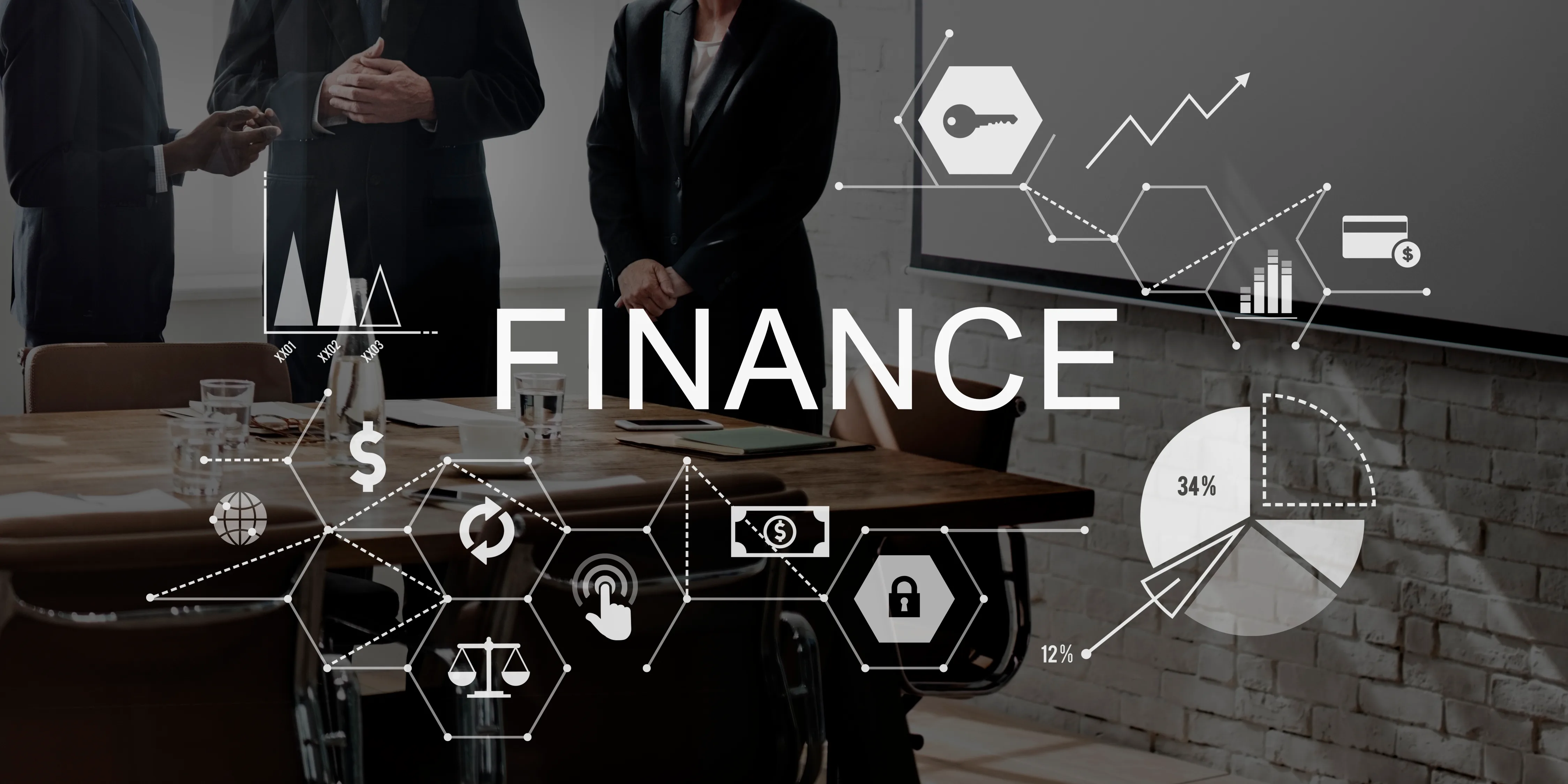 Professional Financial Consultations - pg